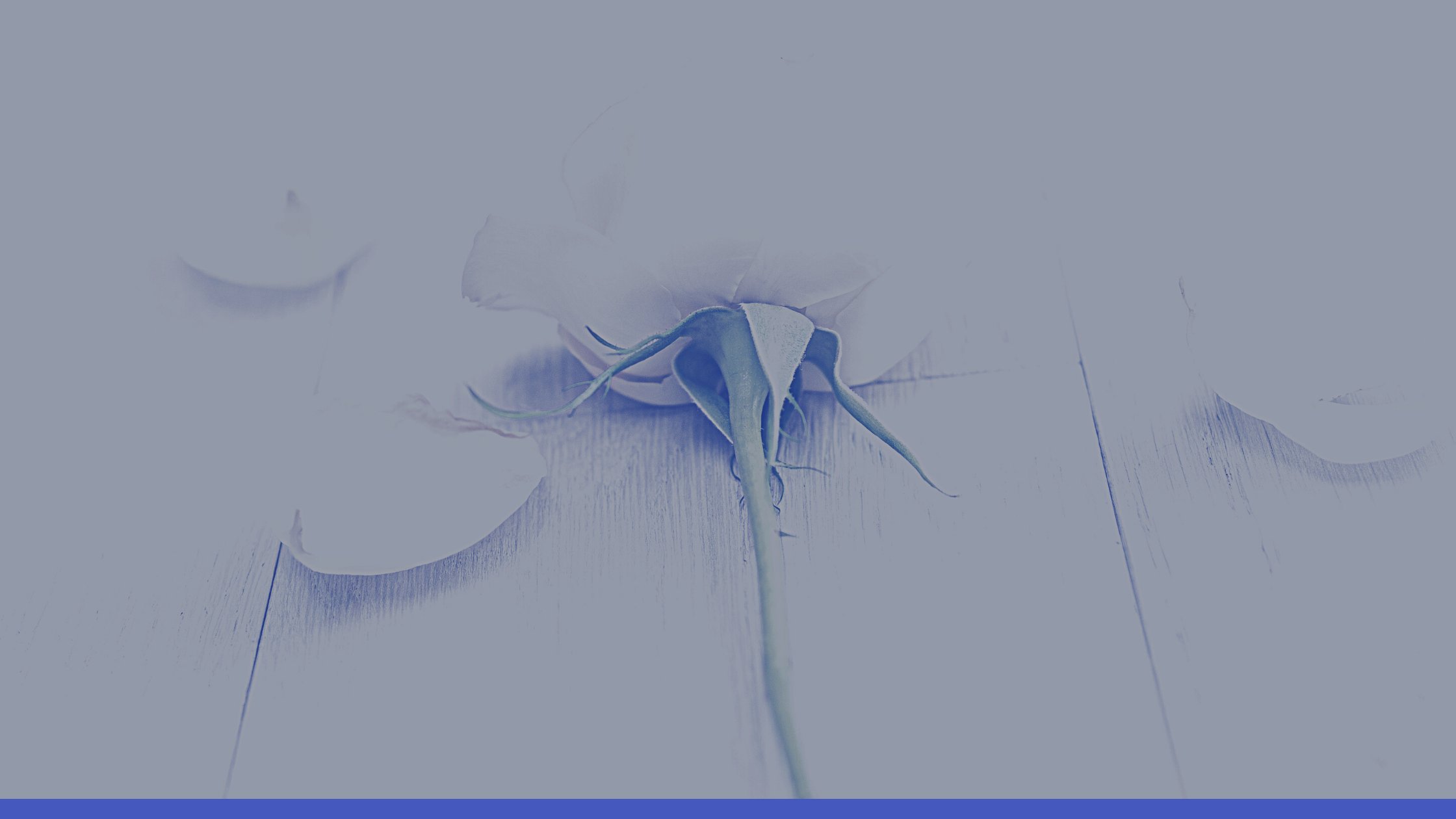 What Is A Motion In Divorce Proceedings Tailor Law